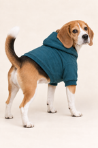 AI preview: plain teal hoodie rear option with a lowered hood, closed center seam and curved rib-finished hem.